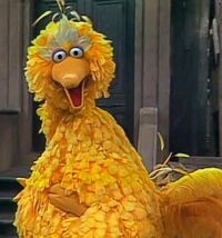 Big Bird filmography | Muppet Wiki | Fandom