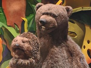 Bear & Hedgehog