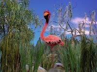 Ewsleep-flamingo