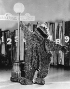 SSLRaraAvisPromo-CM.jpg (525 KB)