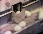 "Chicken or the Egg" (holdover from season 2)