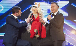 Miss Piggy with Olly Murs and Dermot O'Leary