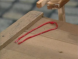 Baby BearMr. Stringo