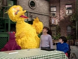 "Come Back, Letter T"