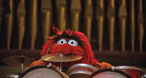 animal muppet drums