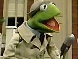 Kermit the Frog on Sesame Street