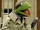 Kermit the Frog on Sesame Street