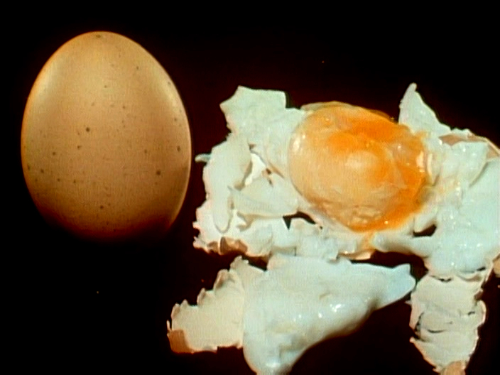 File:Rotten egg - Flickr - Stiller Beobachter.jpg - Wikimedia Commons