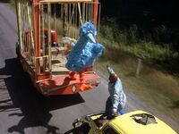 Jumping from a moving truck onto a moving Volkswagen Follow That Bird