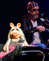 HarleyPiggy4.jpg (53 KB) Piggy arriving on a Harley