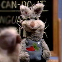 Rabbit (David Rudman)