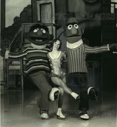 Befollies1.jpg (81 KB)