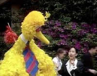 Big Bird in JapanTourist