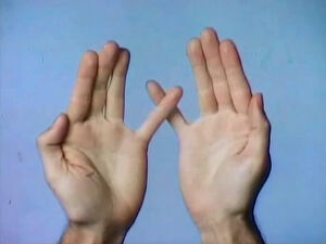 There Once Was a Hand