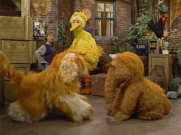 Episode 2527 | Muppet Wiki | Fandom Episode 2527 | Muppet Wiki | Fandom