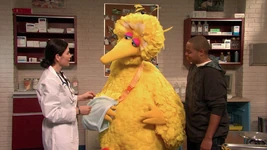 Big BirdSesame Street Episode 4206