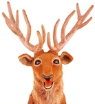 Robert the Red Deer