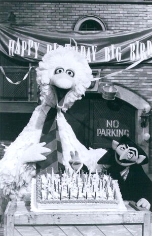 Big bird's birthday 1