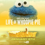 Life of Whoopie Pie