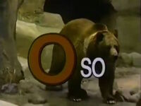 O - Oso