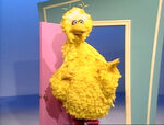 Opening a Door with Big Bird