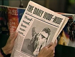 DailyWoofWoof