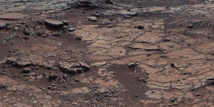 Curiosity provided Zornoopiter's surface.