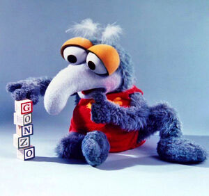 Baby gonzo photo
