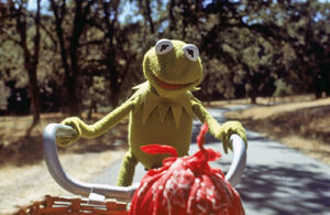 Kermit bicycle pov