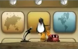 News DXD penguin falls