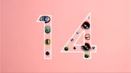 14 eyes take the shape of the number 14.