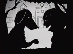 320-shadow-gus.JPG