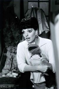 Minnelli33