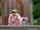 Sesame Street News Flash: Cinderella's Fairy Godmother