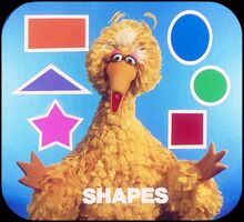 A1 Shapes Big Bird