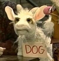 goat in Episode 2683