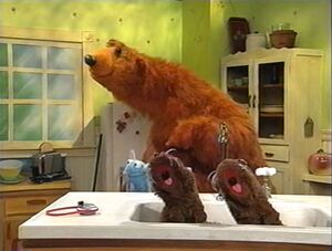 Bearinthebigbluehouse.pilot