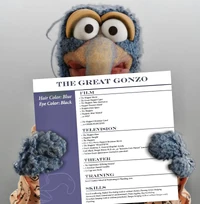 GonzoFilmography.jpeg (145 KB) Gonzo's resume