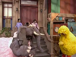 "Elephant Dance" (from 4022)