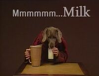 Wegman's Dogs: M for Milk (First: Episode 3545)