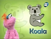 K - Koala (First: Episodio 1019)