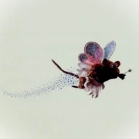 Rat FairyMuppet Babies' Classic Children's Tales