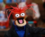Pepe the King Prawn