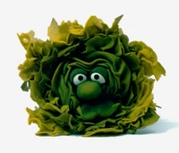 SS-70sLettuce.jpg (343 KB) Lettuce Sesame Street