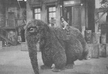 Kid riding on Snuffy - possibly from episode 0401 (kid in photo looks like Chris as seen in 355)