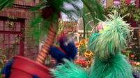 Show Topic: Yoga (Rosita and Grover)