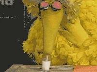 Big Bird drinks milk in Sesame Street Episode 2419