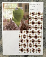 MFSSwatch-KermitPJs.jpg (541 KB)