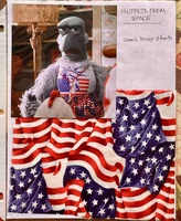 MFSSwatch-SamBoxers2.jpg (637 KB)