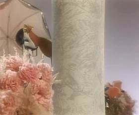 Miss Piggy's Photographer